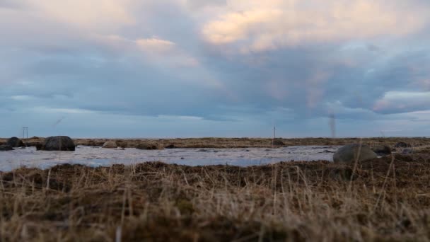 Fiume Costa Meridionale Dell Islanda Paesaggio — Video Stock