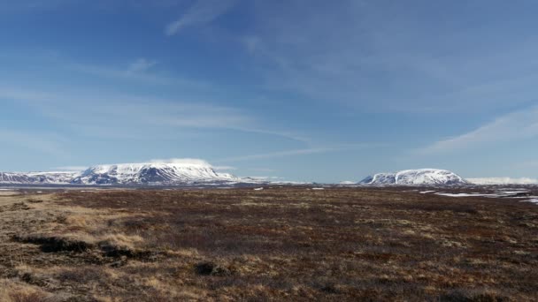 Berglandschaft Nordosten Islands — Stockvideo