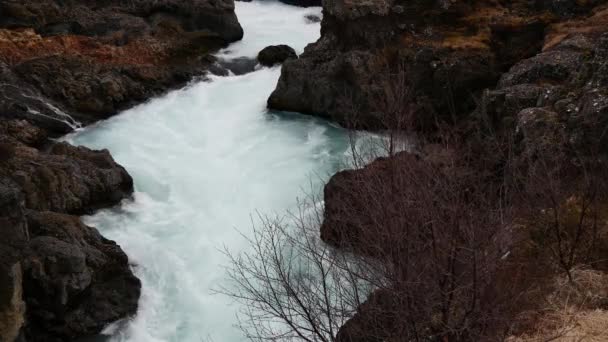 Tæt Flod Hraunfossar Vandfald Det Vestlige Island – Stock-video