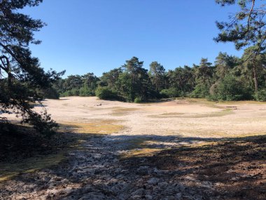 Beerze, Overijssel çevresindeki kum tepeleri Hollanda