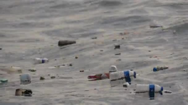 伊斯坦布尔的一个主要城市水道 金角湾大海里的塑料瓶 — 图库视频影像
