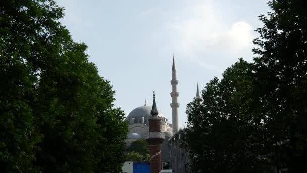 Die Neue Moschee Istanbul Türkei — Stockvideo