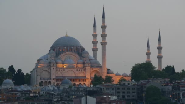 Cerca Mezquita Del Sultán Ahmed Mezquita Azul Noche Estambul Turquía — Vídeo de stock