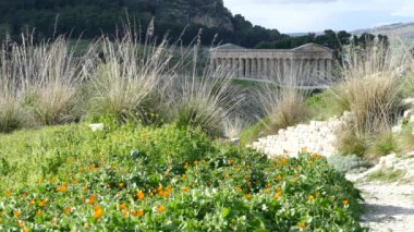 İtalya 'daki Segesta Doric tapınağı.