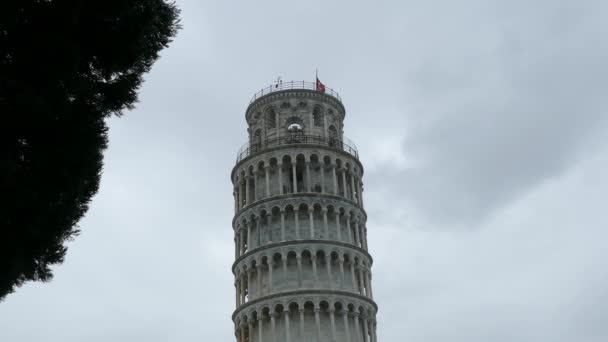 Der Schiefe Turm Pisa Einem Regnerischen Tag — Stockvideo