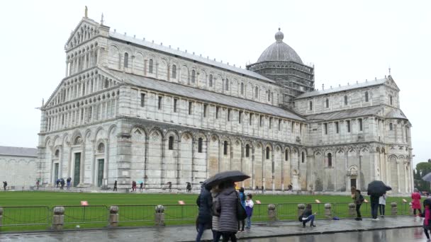 雨の日には ピサ大聖堂の周りを清々しい塔で歩く観光客 — ストック動画