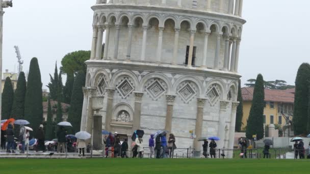 Der Schiefe Turm Pisa Einem Regnerischen Tag — Stockvideo