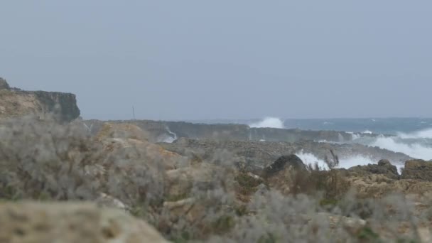 Шторм Побережье Riserva Naturale Orientata Oasi Faunistica Vendicari National Park — стоковое видео