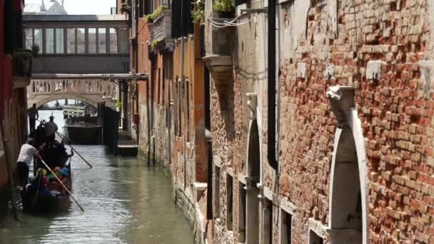 Gondolas Κανάλι Στη Βενετία Ιταλία — Αρχείο Βίντεο