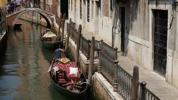 Góndolas Canal Venecia Italia — Vídeo de stock