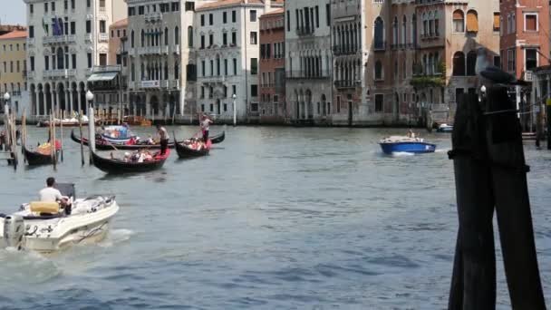 Gondoles Taxis Nautiques Près Ponte Rialto Venise Italie — Video