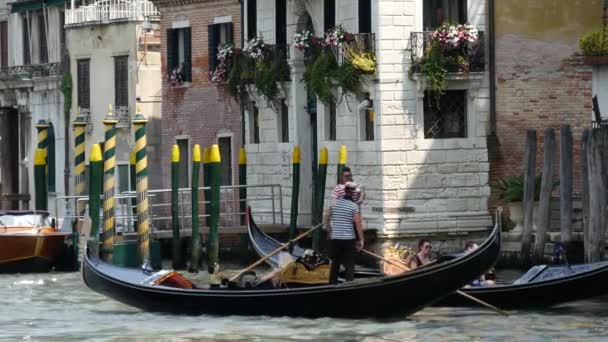Gondolas Passing Each Other Venice Italy — Stock Video