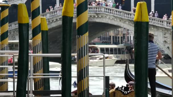 Postes Verdes Amarillos Con Ponte Rialto Gondelier Fondo Venecia Italia — Vídeo de stock