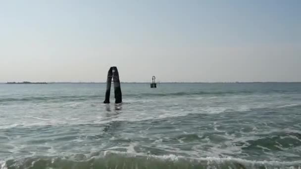 Water Taxi Speeding Leaving Venice Italy — Stock Video