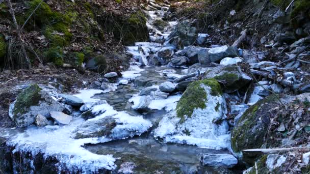 Pequeño Río Con Hielo Parque Nacional Mavrovo Macedonia — Vídeos de Stock