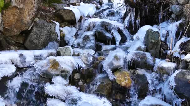 Gros plan d'une petite rivière avec de la glace dans le parc national de Mavrovo Macédoine