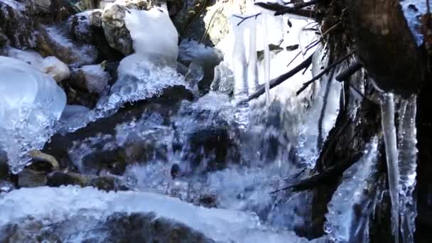Cerca Pequeño Río Con Hielo Parque Nacional Mavrovo Macedonia — Vídeos de Stock