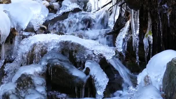 Közel Egy Kis Folyó Jég Mavrovo Nemzeti Park Macedónia — Stock videók