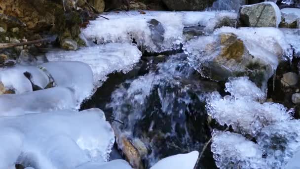 Makedonya Nın Mavrovo Ulusal Parkı Ndaki Buzlu Küçük Bir Nehre — Stok video