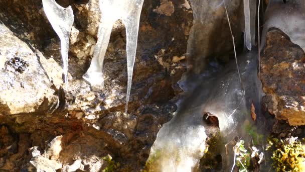 Deshielo Parque Nacional Mavrovo Macedonia — Vídeos de Stock