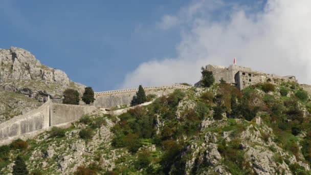 Oude Binnenstad Kotor Montenegro — Stockvideo