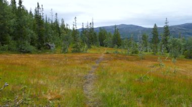 Norveç Borgefjell Ulusal Parkı 'nda yürüyüş yolu