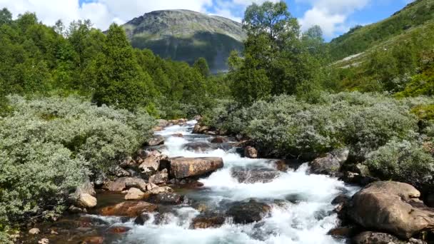 Fiume Selvaggio Nel Parco Nazionale Geiranger Norvegia — Video Stock