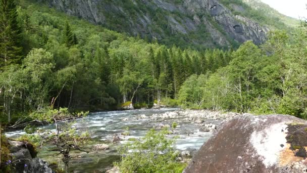 Lago Río Grande Parque Nacional Hardangervidda Noruega — Vídeos de Stock