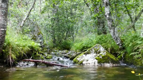 Strom Hardangervidda Nationalpark Norwegen — Stockvideo