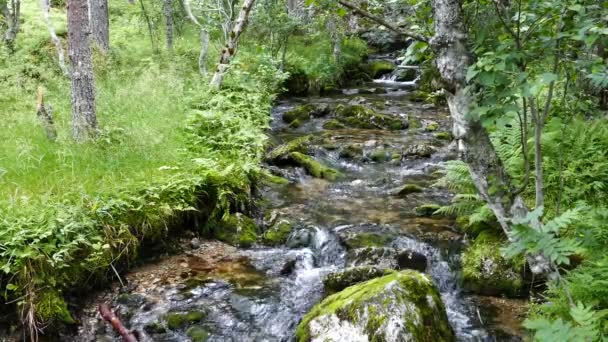 Strom Hardangervidda Nationalpark Norwegen — Stockvideo