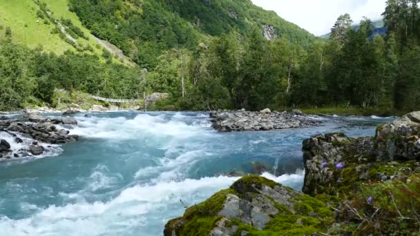 Río Azul Claro Salvaje Parque Morkidsdalen Skjolden Noruega — Vídeos de Stock