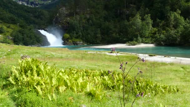 Champ Vert Avec Une Rivière Bleue Claire Une Cascade Dans — Video