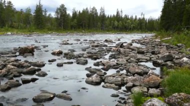 Norveç Borgefjell Ulusal Parkı 'nda kayalarla dolu bir nehir.