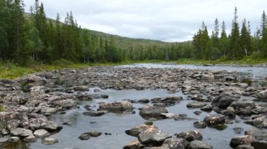 Norveç Borgefjell Ulusal Parkı 'nda kayalarla dolu bir nehir.