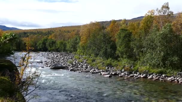 Strumień Ovre Dividal National Park Norwegia — Wideo stockowe