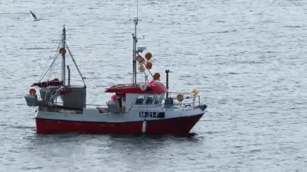 Röd Fiskebåt För Kusten Alesund Norge — Stockvideo