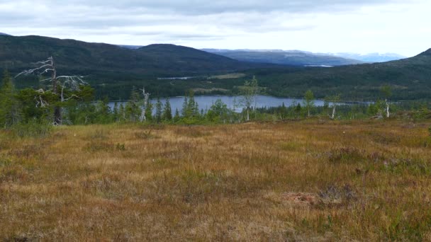 Montagne Avec Paysage Lacustre Dans Parc National Borgefjell Norvège — Video