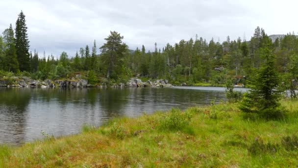 Lac Dans Parc National Borgefjell Norvège — Video