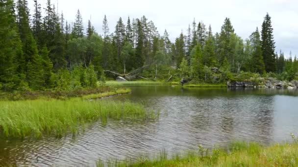 Lac dans le parc national Borgefjell Norvège