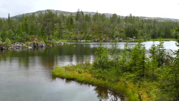Lac Pendant Autum Dans Parc National Borgefjell Norvège — Video