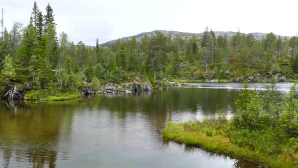 Lac Dans Parc National Borgefjell Norvège — Video