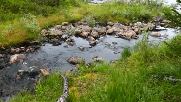 Inclinez Vous Petit Ruisseau Rivière Dans Parc National Borgefjell Norvège — Video