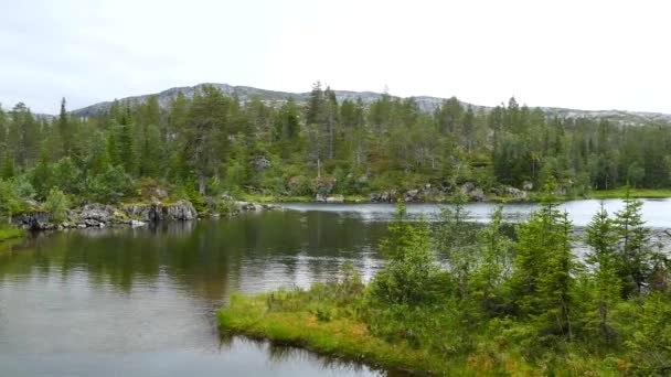 Pan Van Een Meer Borgefjell National Park Noorwegen — Stockvideo