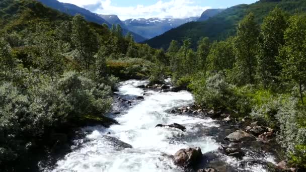 Geiranger Ulusal Parkı Norveç Teki Vahşi Nehir — Stok video