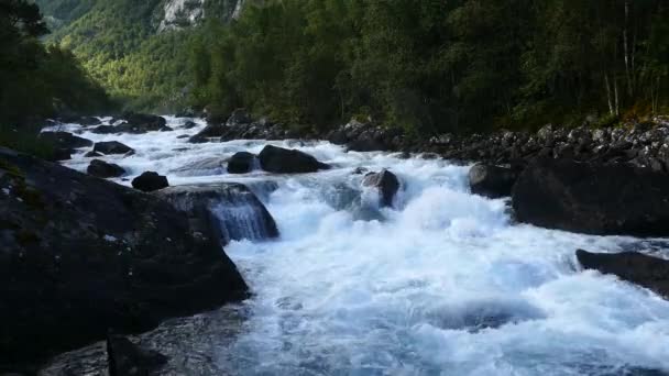 Wilder Fluss Hardangervidda Nationalpark Norwegen — Stockvideo