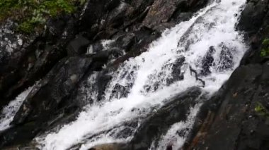 Voringfossen Norveç 'teki bir şelale deresinin yakınında.