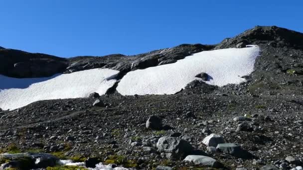 Pan Paisaje Río Montaña Parque Nacional Jotunheimen Noruega — Vídeo de stock