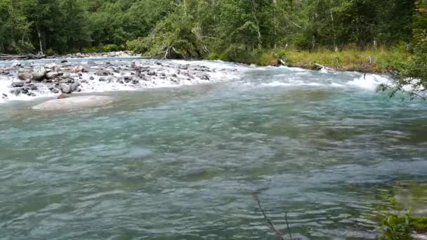 Strumień Parku Morkidsdalen Skjolden Norwegia — Wideo stockowe