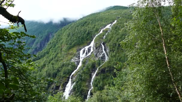 Pequeñas Cascadas Parque Morkidsdalen Skjolden Noruega — Vídeo de stock