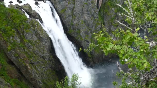 Wasserfall Voringfossen Norwegen — Stockvideo